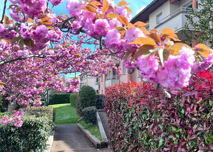Lumineux Terrasse Piscine Cugnaux