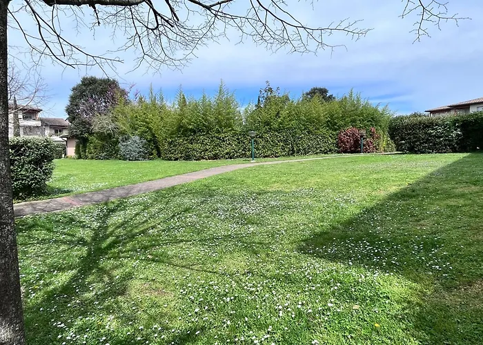 Lumineux Terrasse Piscine